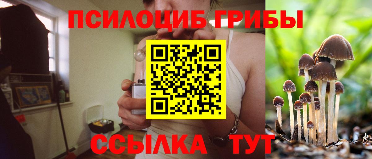 Псилоцибиновые грибы Psilocybe Обнинск