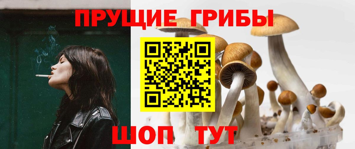 Галлюциногенные грибы прущие грибы  Вход с VPN  Обнинск 