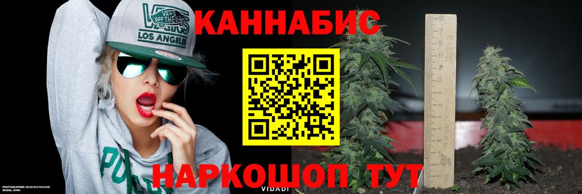 Канабис индика  Канабис AK-47  Обнинск  Вход с VPN  Бошки марихуана план  МАРИХУАНА ГИДРОПОН 